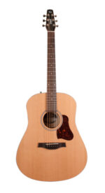 Dreadnought Size Gtr Custom Polish Finish