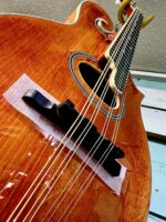 Barnes & Mullins Bm700 Piercy Mandolin - Image 5