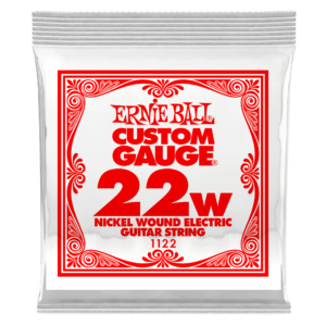 .022 Electric Gtr Single Str N/W Q/P06 1122