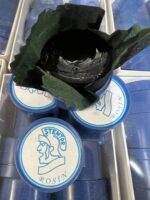 Stentor Rosin Oem For Violin/Viola/Cello - Image 6