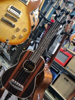 Kala Ubass Ebony Fretless