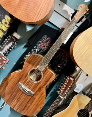 Cole Clark Studio An1Ec All Blackwood 104