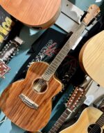 Cole Clark Studio An1Ec All Blackwood 104