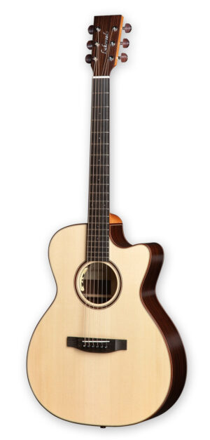 Lakewood M-31 Cp Cutaway And L.R.Baggs Anthem Europe Germany