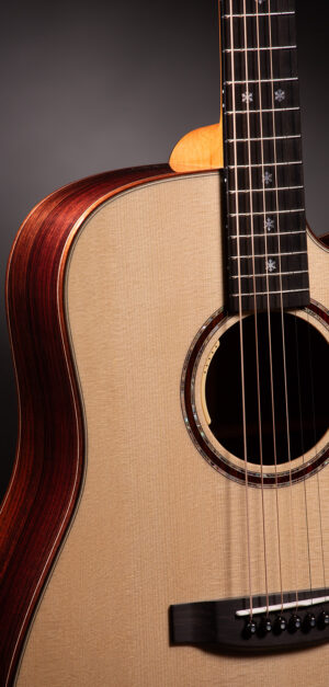 Lakewood D-32 Cp Cutaway And L.R.Baggs Anthem Europe Germany