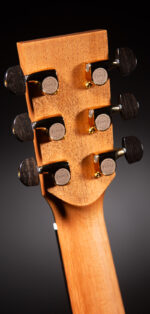 Lakewood D-32 Cp Cutaway And L.R.Baggs Anthem Europe Germany - Image 4