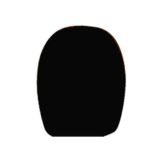 EV-WSPL2 Electro-Voice Wspl2 Foam Windscreen In Black - Image 1