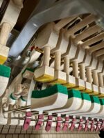 Petrof P125 M1 Euro 2251 Walnut Upright - Image 3