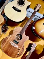 Cole Clark Grand Auditorium Blackwood