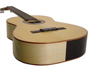 Concert Size Classical Gtr S-Spr-T