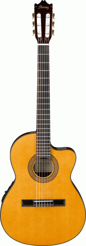 Ga5Tce Classical/Electric Gtr W/C-Ay Natural