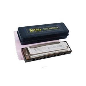 C Blues Harmonica 10 Hole 20 Brass Reed