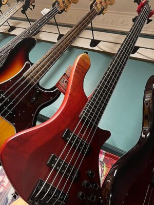 Long Lady 5 String Figured Maple Silkwood Top