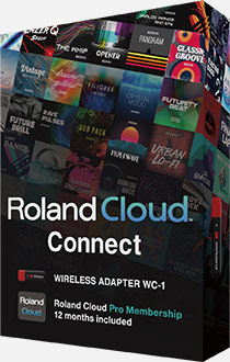 Roland WC-1 Wireless Cloud Adapter (ROL-WC1)