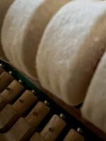 Petrof Prof Upright 131 E1 Walnut Used 2007 With Bench - Image 10