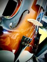 Stagg Vn4/4-Sb 4/4 Solid Maple Violin With Standard-Shaped Soft-Case - Image 4