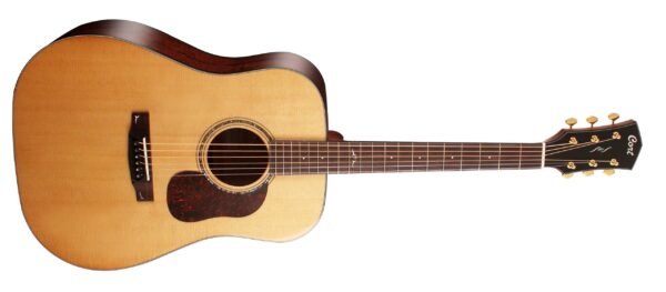 Gold D6 Dreadnought Guitar Gloss Natural