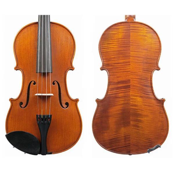 Gliga Vasile Christian Viola-16IN