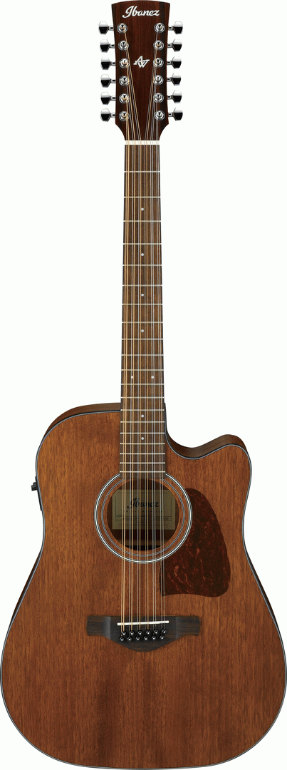 Ibanez Aw5412Ce Opn Artwood Acoustic Guitar 12 S