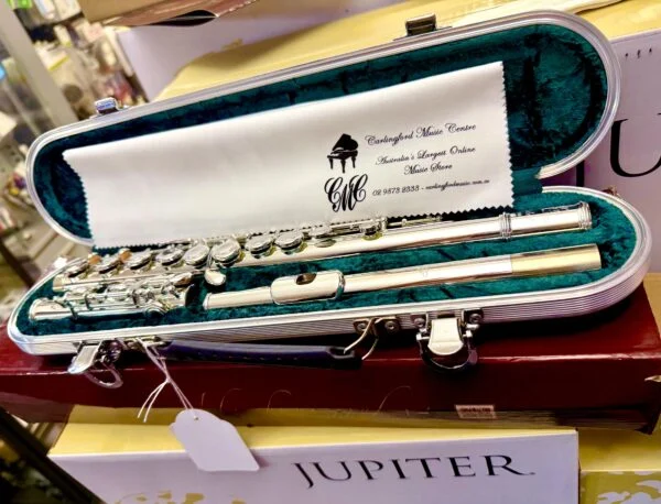 Di Zhao DZ100 Coa Student Strong Flute Built to Last with Solid Case