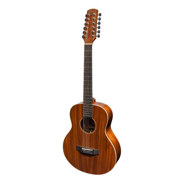 12 String Acoustic/Electric Short Scale Guitar S