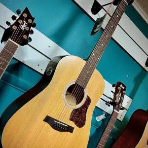 Acoustic/Electric Gtr W/Qi Custom Polish Finish
