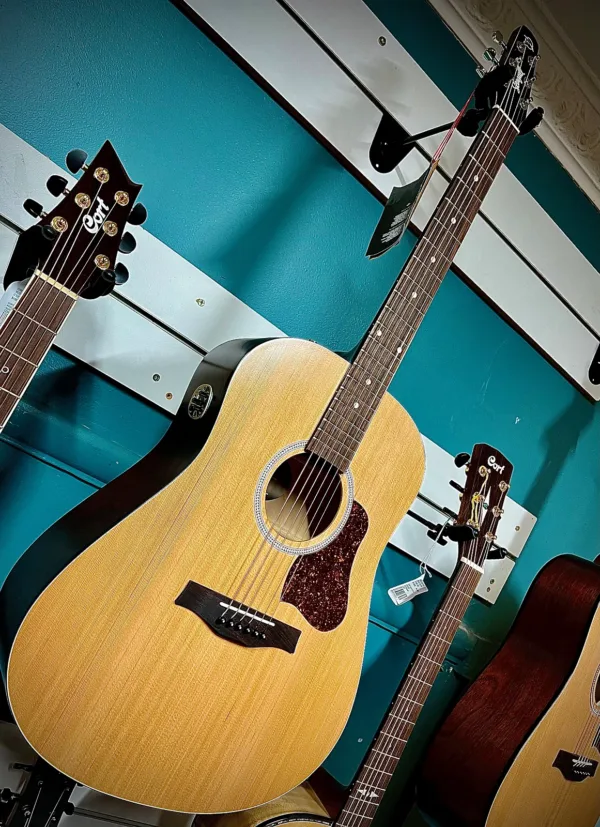 Acoustic/Electric Gtr W/Qi Custom Polish Finish