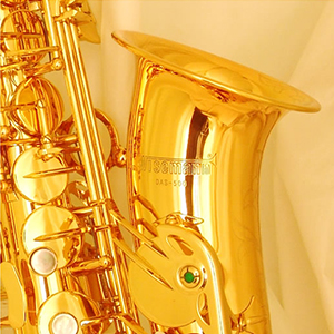 E Flat Alto Sax Brass Lacquered W/Canvas Case