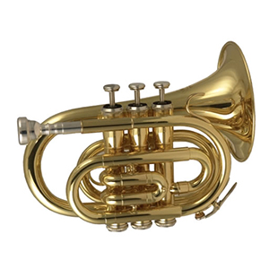 B Flat Pocket Trumpet Bigbell Brass Lac W/Case