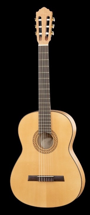 Concert Size Classical Gtr S-Spr-T