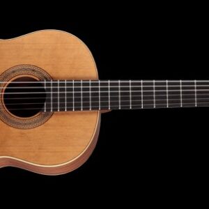 Concert Size Classical Gtr S-Cdr-T