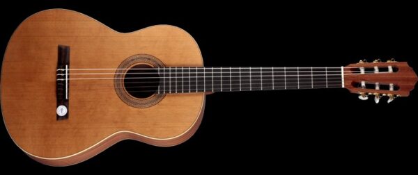 Concert Size Classical Gtr S-Cdr-T