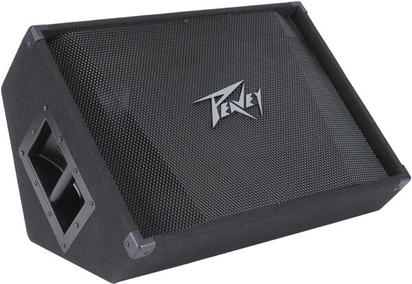 Peavey Pv Series PV15M Passive 500W - 15INCH Floor Monitor