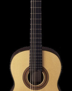Herman Hauser Style Classical Gtr