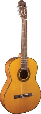 Takamine GC1 Series Acoustic Classical Guitar In Natural Gloss Finish