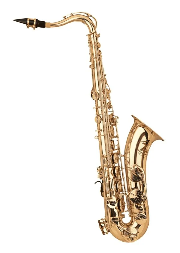 Zo Academy Bb Tenor Saxophone - Lacquer