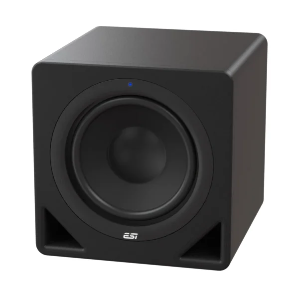 Esi Aktiv 10S Powered Studio Monitoring Subwoofer with 10 Bass Reflex Speaker (Each)